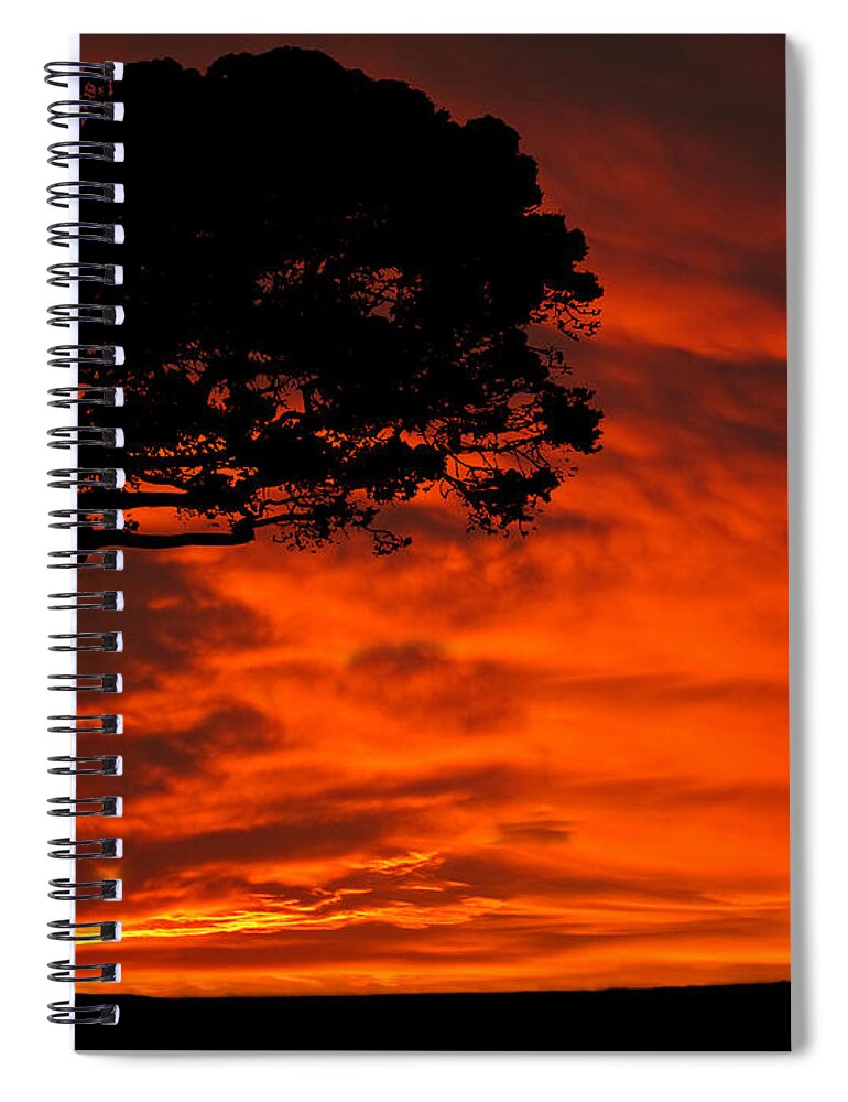 Wolf Spiral Notebook featuring the photograph Wolf Calling For Mate Sunset Silhouette Series by David Dehner