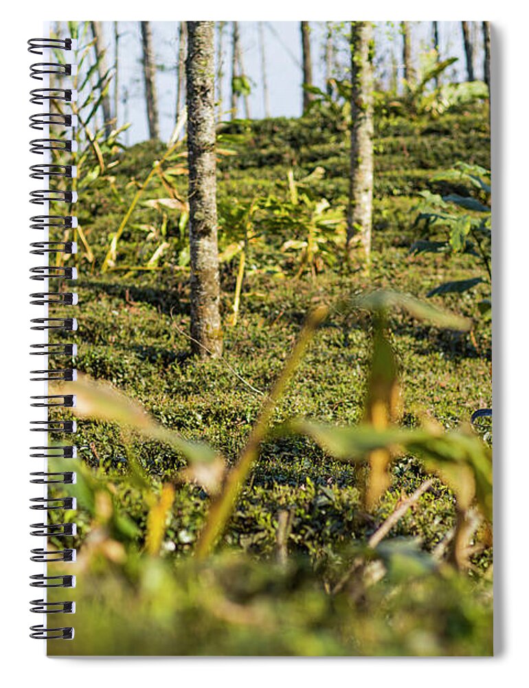 Working Spiral Notebook featuring the photograph Woman Cutting Bush On Tea Plantation by Merten Snijders