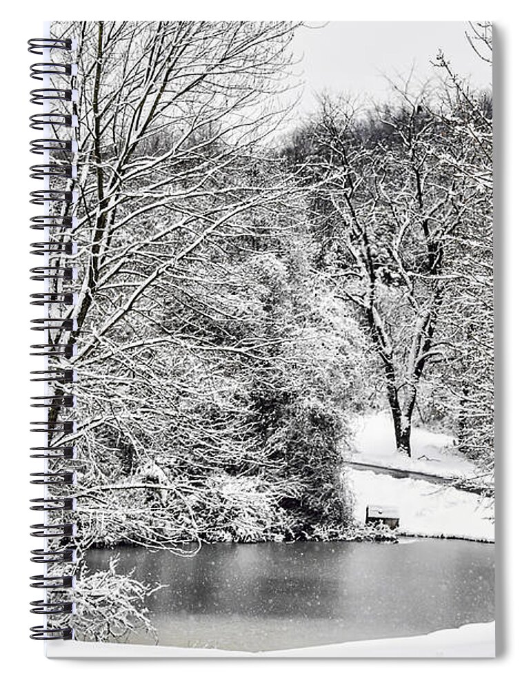 Trees Spiral Notebook featuring the photograph Wonderland 2 by Judy Wolinsky