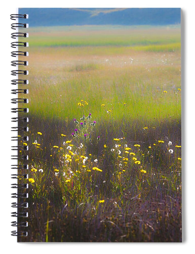 Holland Spiral Notebook featuring the photograph Wonderland 4 the plains by Casper Cammeraat