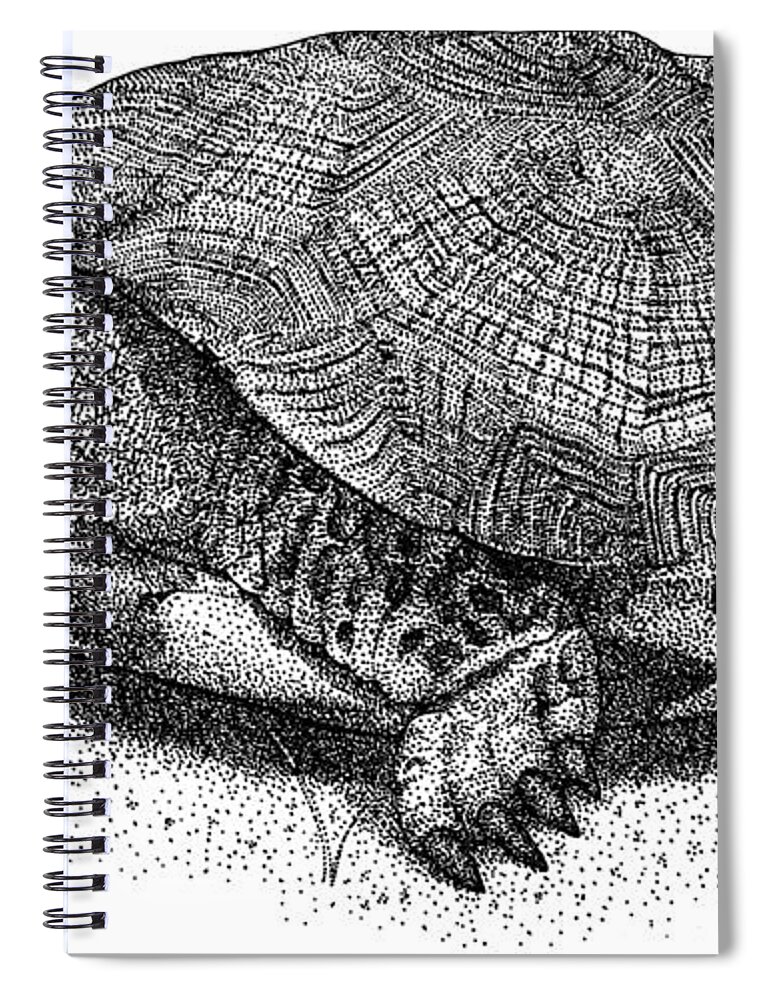 Wood Turtle Spiral Notebook featuring the photograph Wood Turtle by Roger Hall