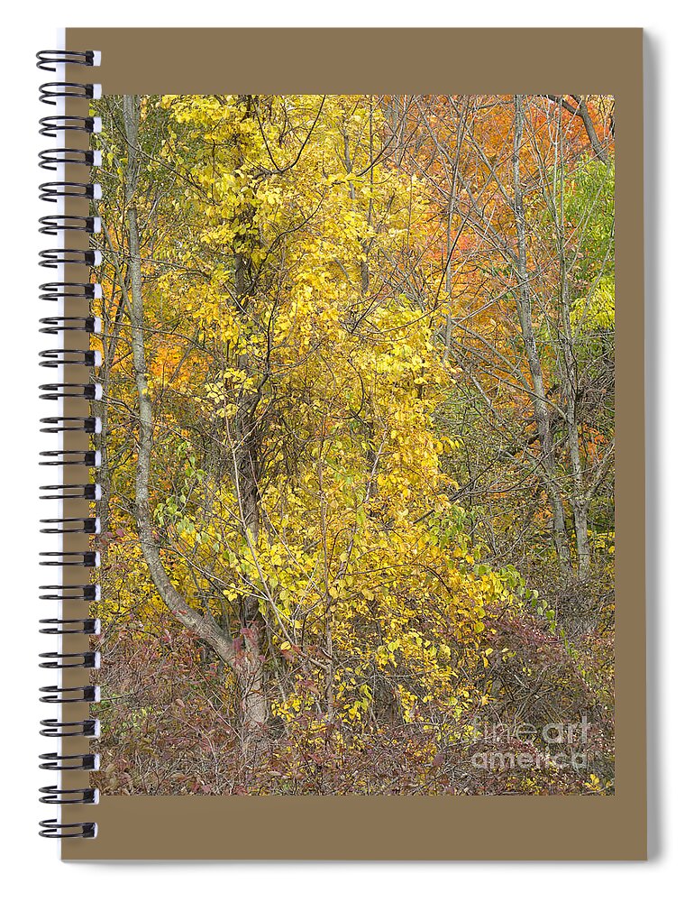 Autumn Spiral Notebook featuring the photograph Woodland Aglow by Ann Horn