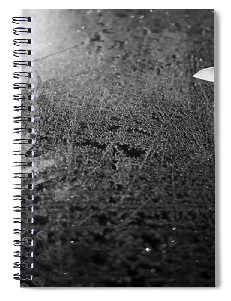 Words Spiral Notebook featuring the photograph Words Take Flight by Edward Fielding