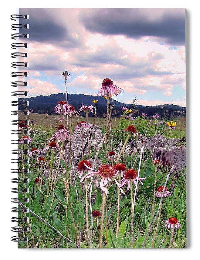 Wyoming Spiral Notebook featuring the photograph Wyoming Coneflowers by Cathy Anderson