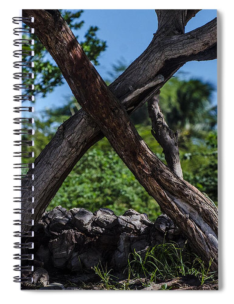 Trees Spiral Notebook featuring the photograph X Marks The Spot by Judy Wolinsky