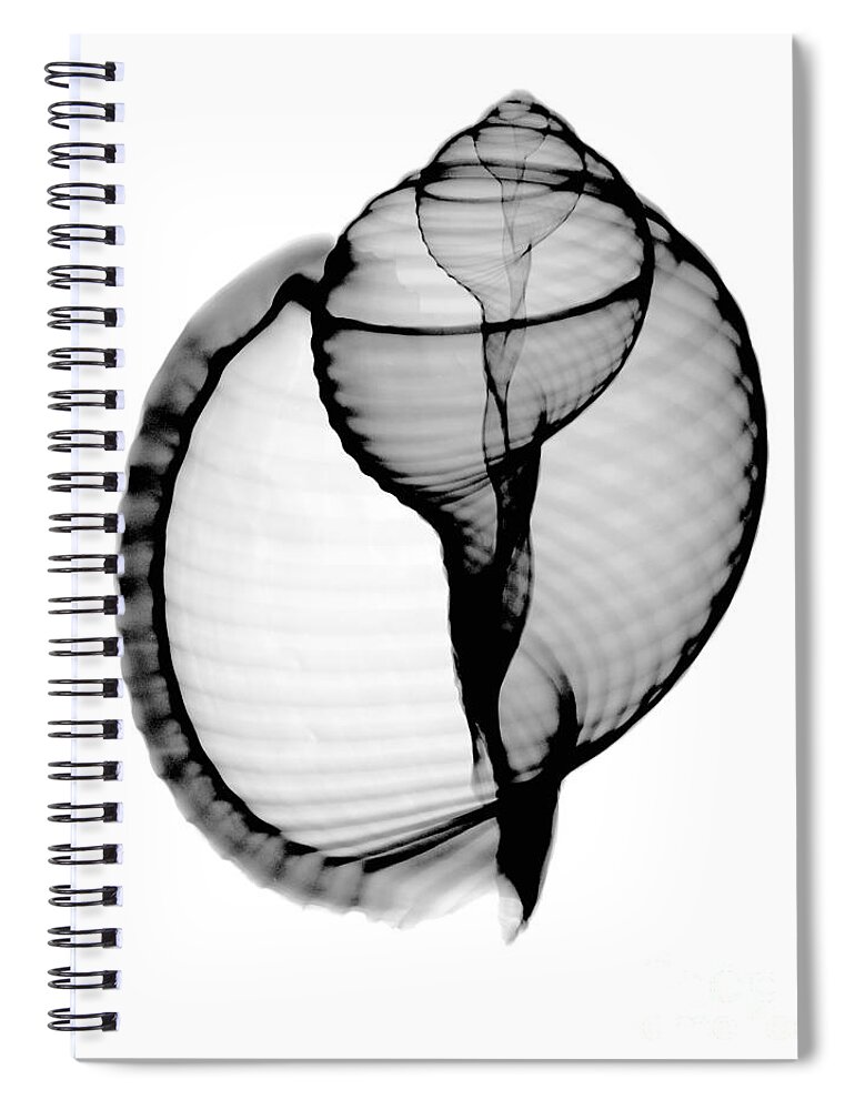 Radiograph Spiral Notebook featuring the photograph X-ray Of Scotch Bonnet by Bert Myers