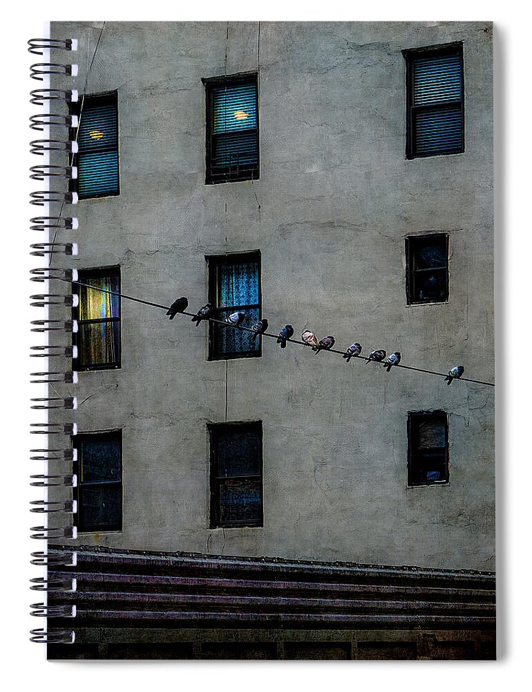 Pigeons Spiral Notebook featuring the photograph Yardbirds by Chris Lord