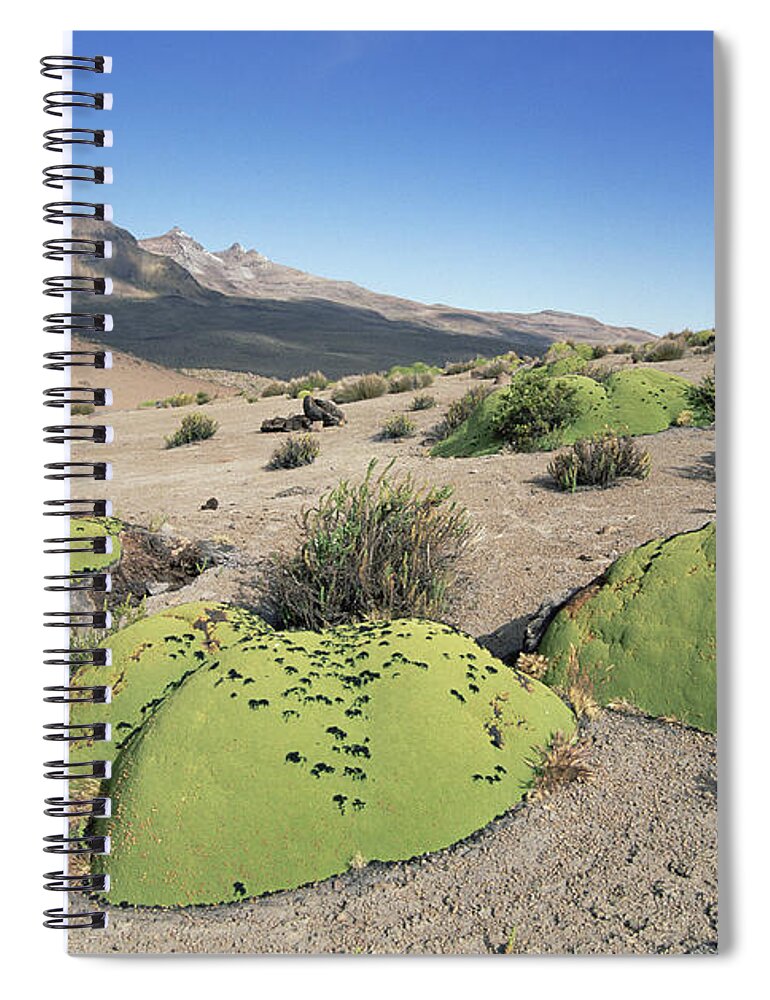 Feb0514 Spiral Notebook featuring the photograph Yareta Pata Pampa Peru by Tui De Roy