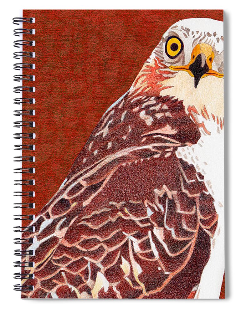 Art Spiral Notebook featuring the drawing Yellow Eyed Hawk by Dan Miller