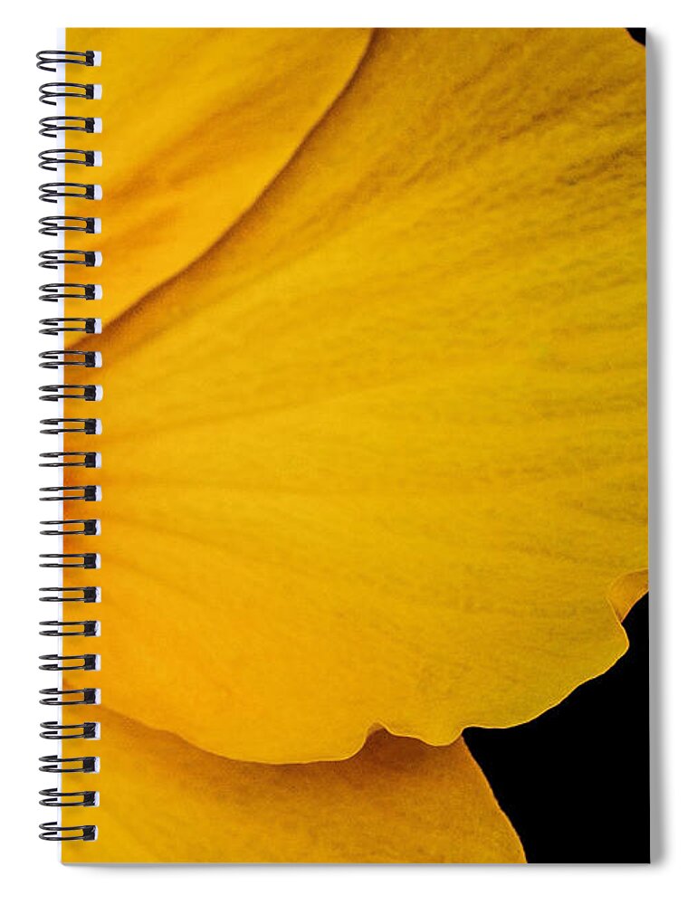 Yellow Hibiscus Spiral Notebook featuring the photograph Yellow Hibiscus Right Side of Triptych by TK Goforth