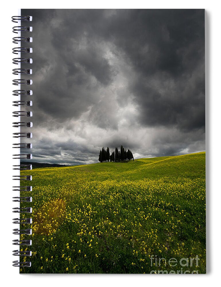 Toskany Spiral Notebook featuring the photograph Yellow Meadow by Jaroslaw Blaminsky