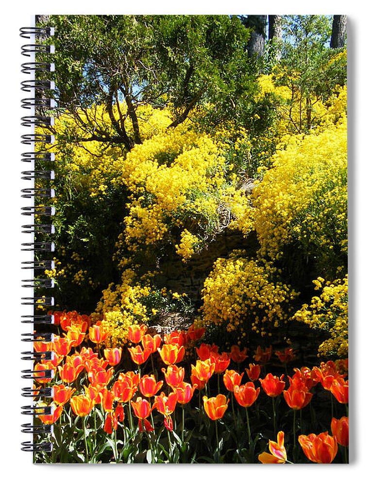Botanical Garden Spiral Notebook featuring the photograph Yellow Orange - Springtime by Phil Banks