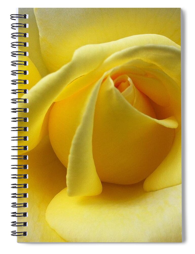Flowers Spiral Notebook featuring the photograph Yellow Rose Softness by Susan Garren