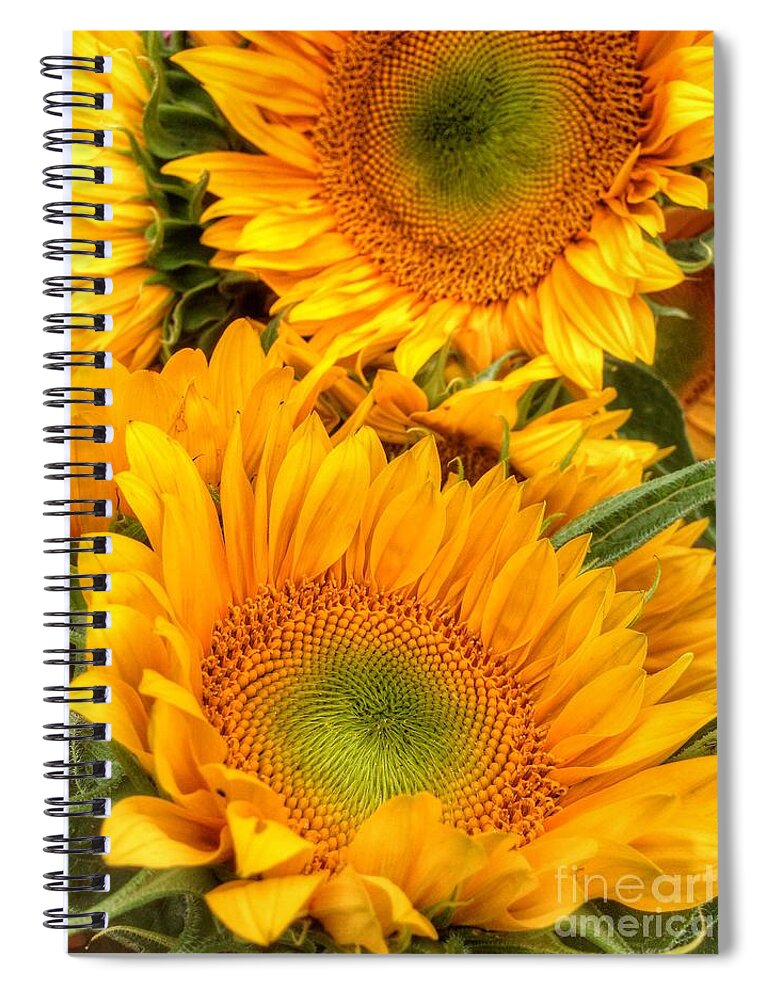 Yellow Sun Flower Spiral Notebook featuring the photograph Yellow Sun Flower Burst by Susan Garren