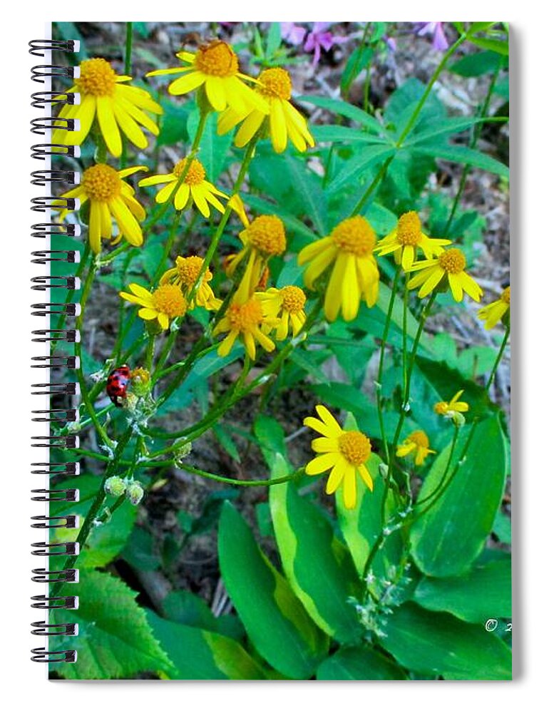  Yellow Spiral Notebook featuring the photograph Yellow Tilt by Kendall Kessler