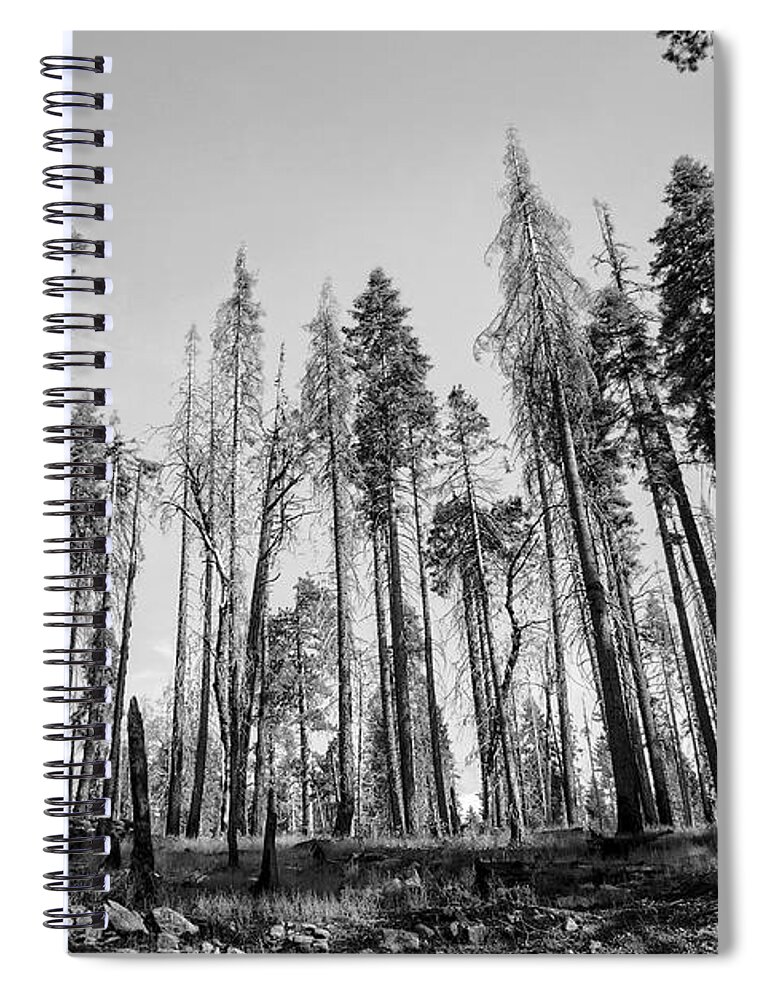 Yosemite Spiral Notebook featuring the photograph Yosemite Forest by David Hart