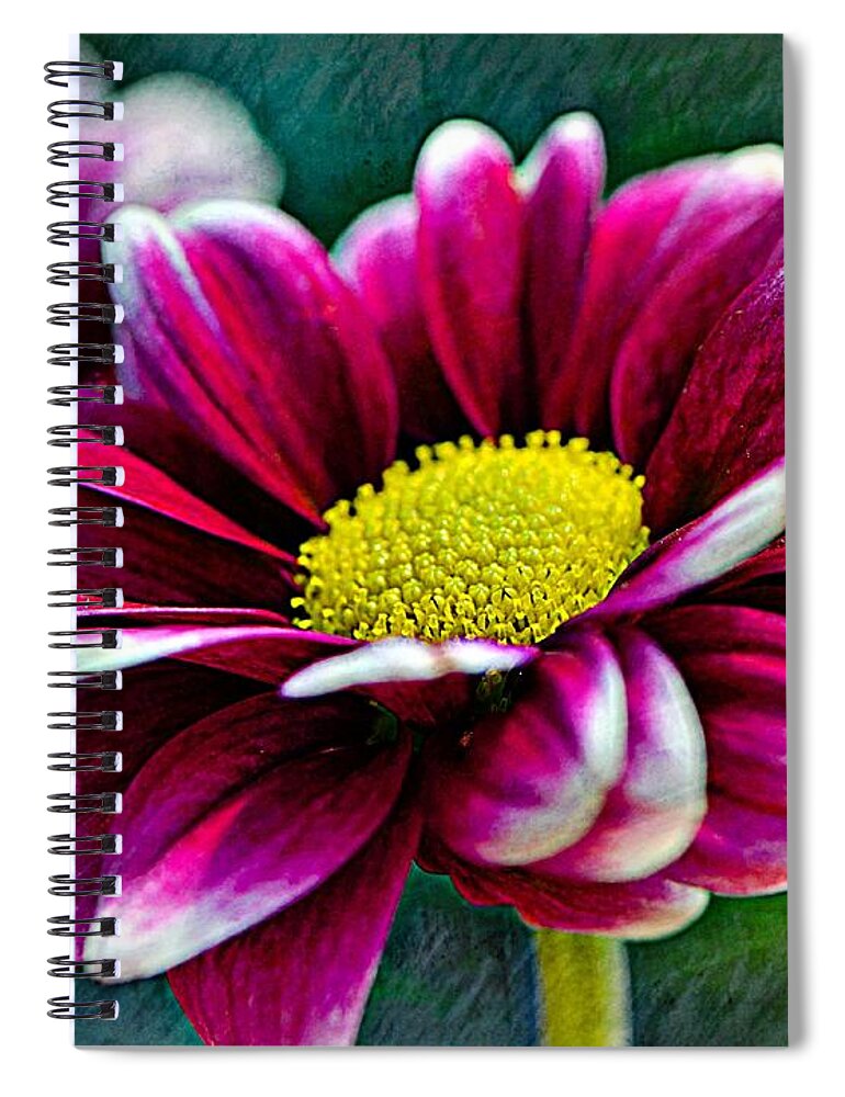 Flower Spiral Notebook featuring the photograph You Had Me At Hello........... by Tanya Tanski