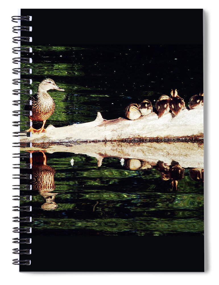 Ducks Spiral Notebook featuring the photograph You will always be here in my heart by Zinvolle Art