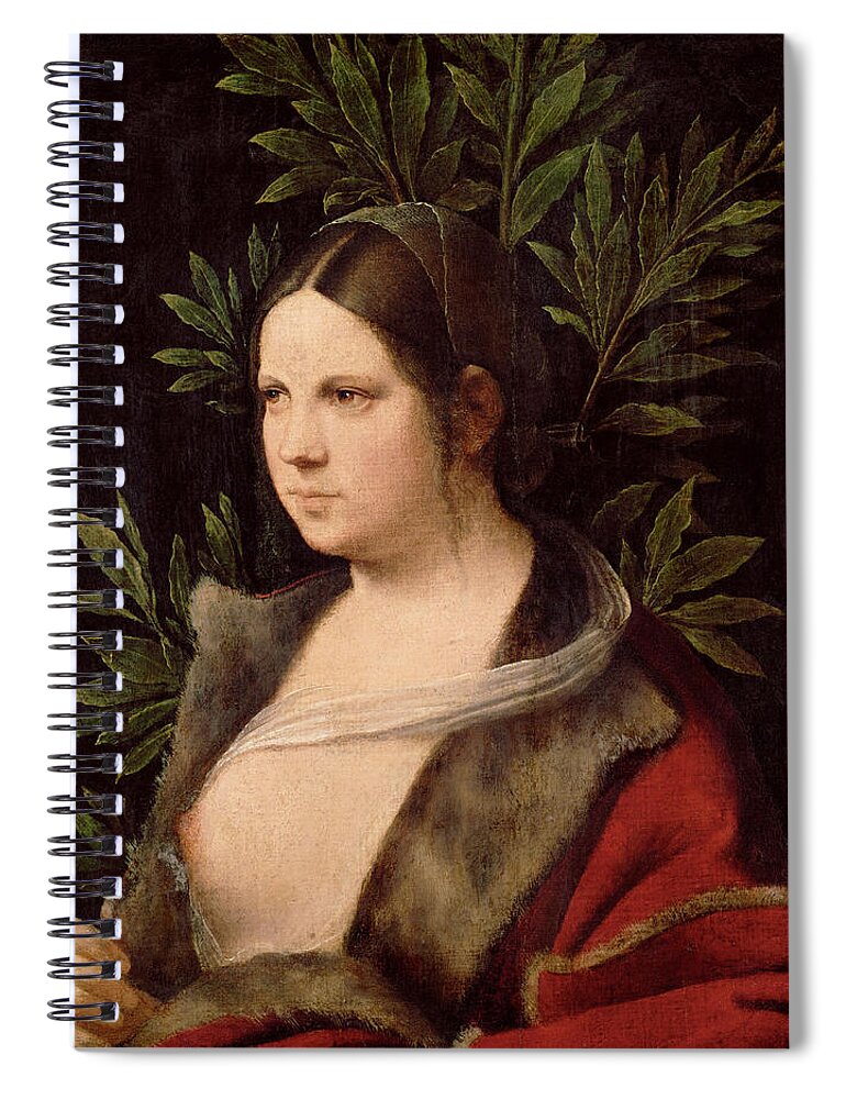 Giorgione Spiral Notebook featuring the painting Young Woman. Laura by Giorgione