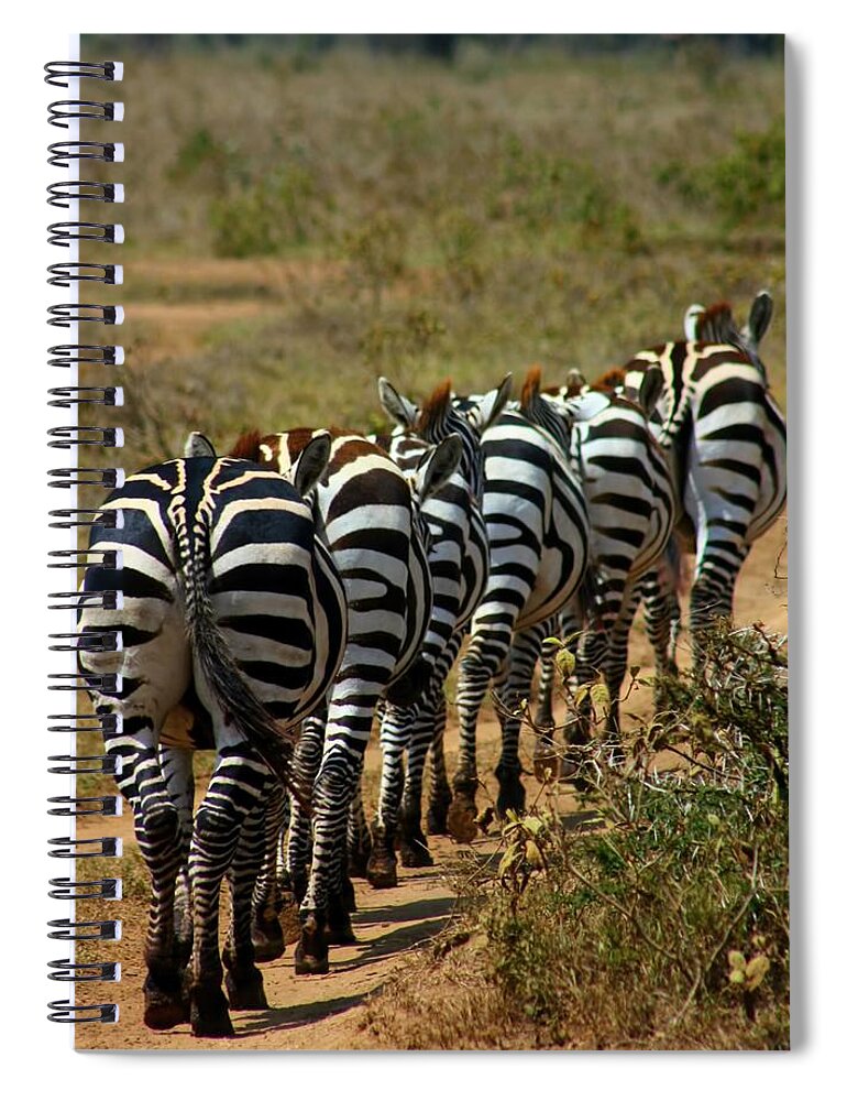 Zebra Spiral Notebook featuring the photograph Zebra by Amanda Stadther