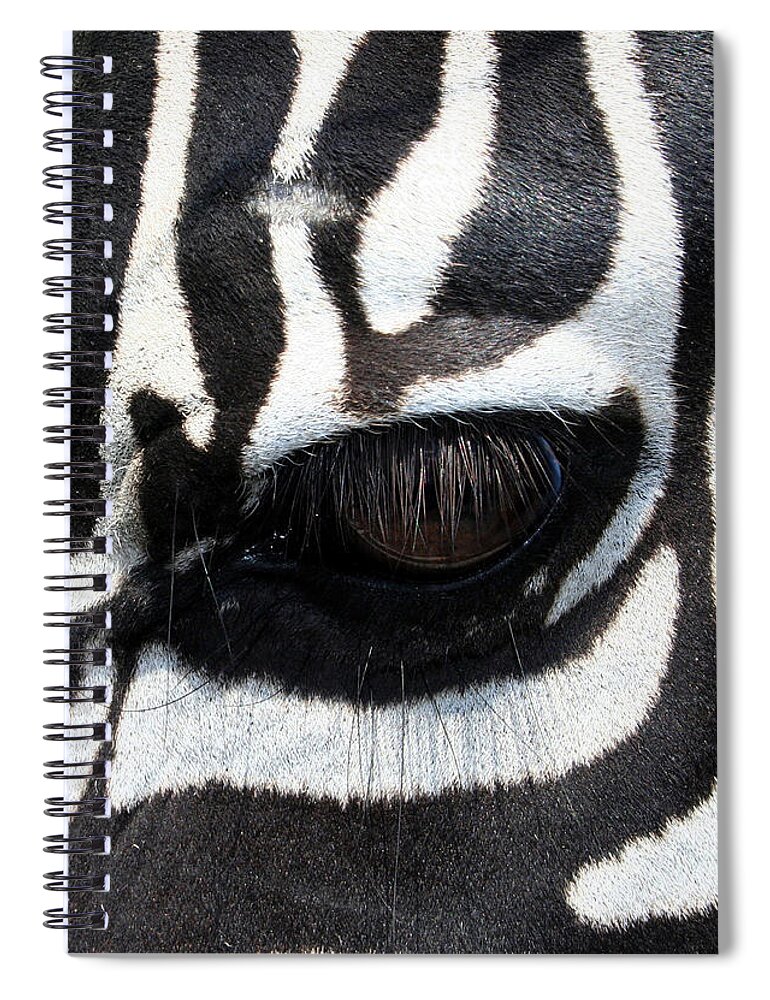 Zebra Spiral Notebook featuring the photograph Zebra Eye by Linda Sannuti