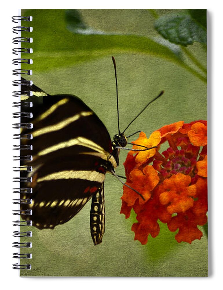 Zebra Longwing Spiral Notebook featuring the photograph Zebra Longwing by Ann Bridges