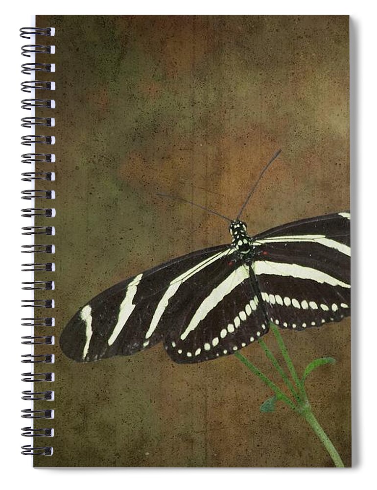 Zebra Spiral Notebook featuring the photograph Zebra Longwing Butterfly-1 by Rudy Umans