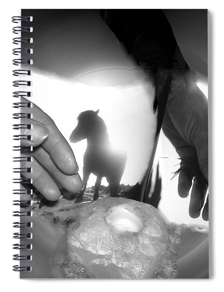 Colette Spiral Notebook featuring the photograph Zen Meditation  by Colette V Hera Guggenheim