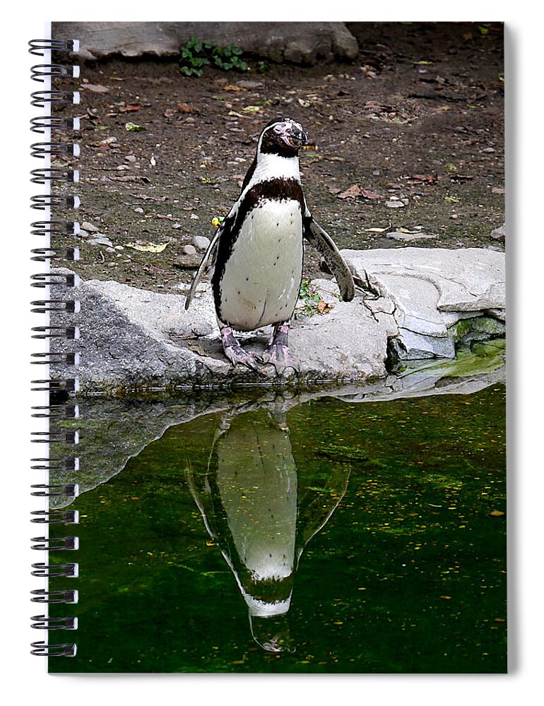 Richard Reeve Spiral Notebook featuring the photograph Zenguin by Richard Reeve