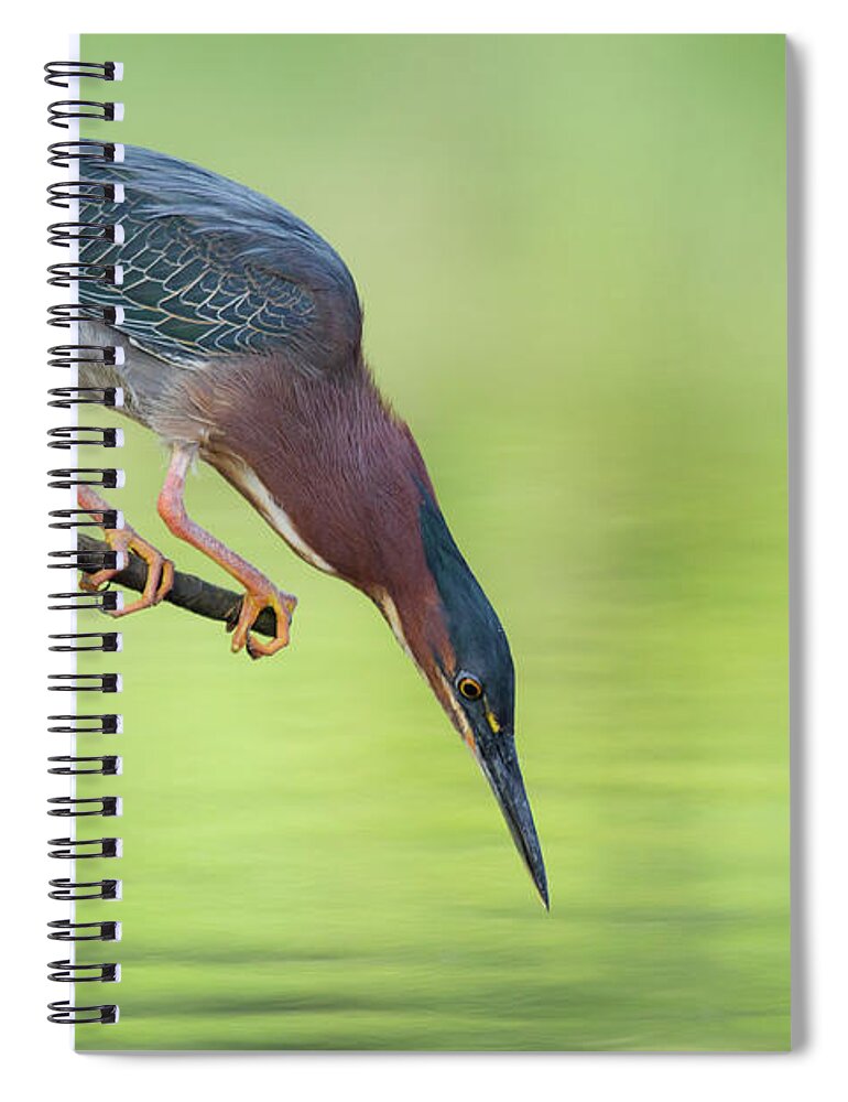 Standing Water Spiral Notebook featuring the photograph Zeroed In by Gary Seloff