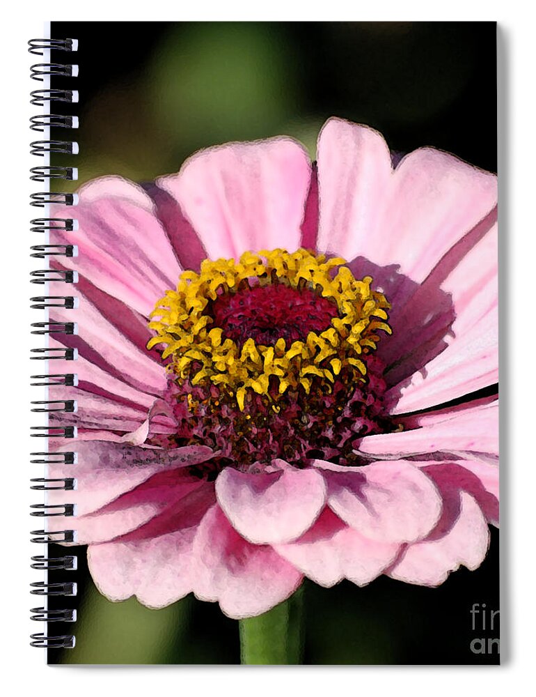 Zinnia Spiral Notebook featuring the digital art Zinnia Pink Flower Floral Decor Macro Sqaure Format Fresco Digital Art by Shawn O'Brien