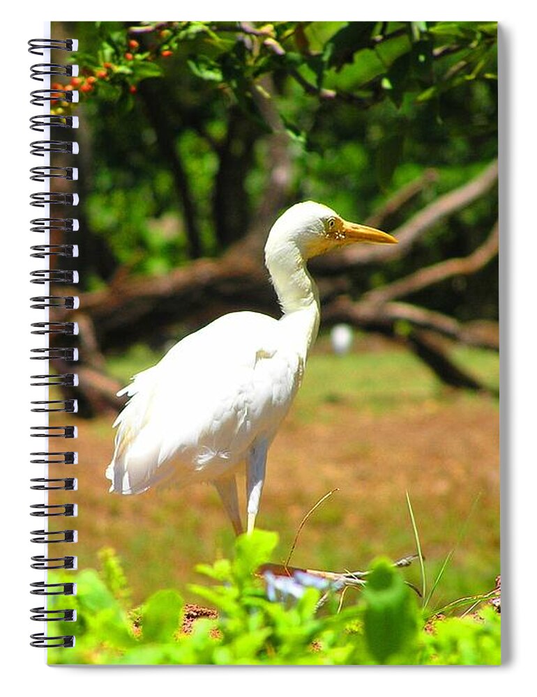 Zoo Landscape Spiral Notebook featuring the photograph Zoo by Oleg Zavarzin