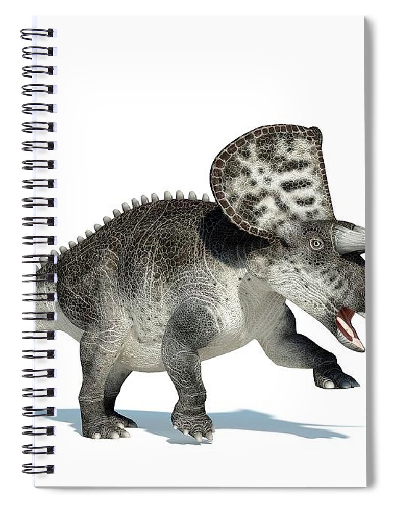 Prehistoric Era Spiral Notebook featuring the digital art Zuniceratops Dinosaur, Artwork by Leonello Calvetti