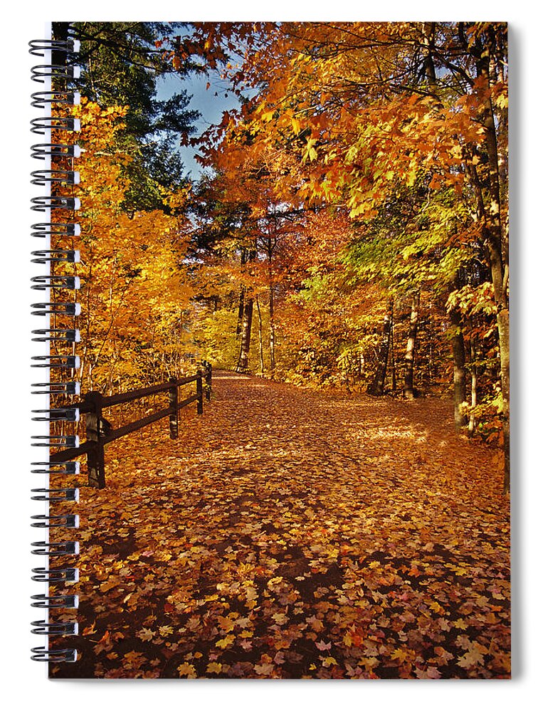 Fall Spiral Notebook featuring the photograph Golden Path by Ron Weathers