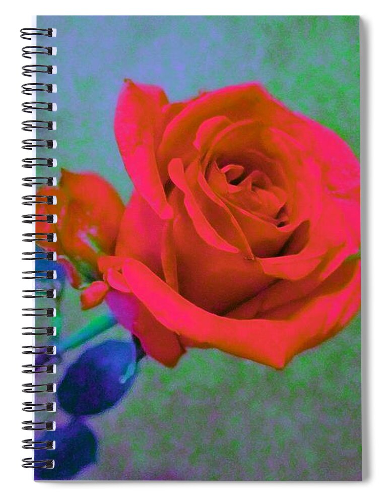 Rose Spiral Notebook featuring the photograph American Beauty - Red Rose by Susan Carella