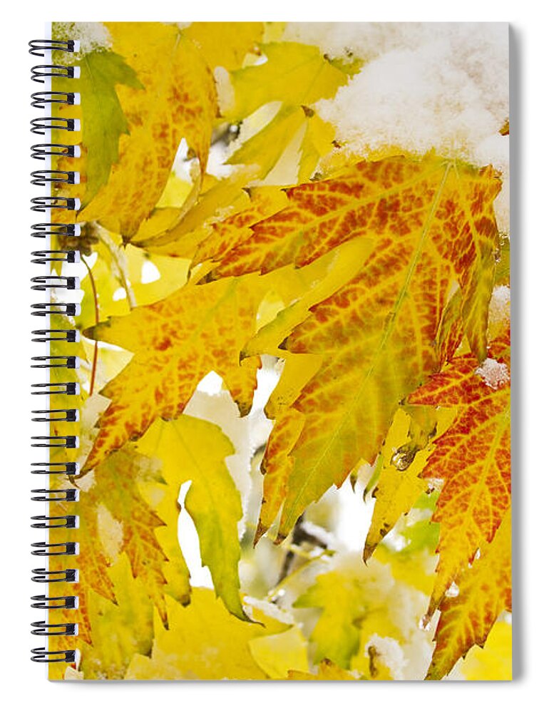 Snow Spiral Notebook featuring the photograph Autumn Snow #1 by James BO Insogna