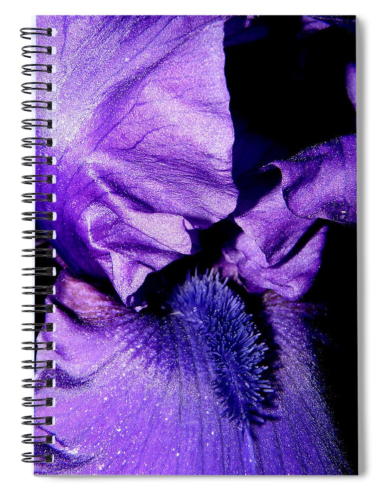 Iris Spiral Notebook featuring the photograph Bearded Iris #1 by Kim Galluzzo