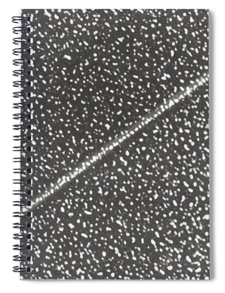 Dna Spiral Notebook featuring the photograph Dna #1 by Science Source