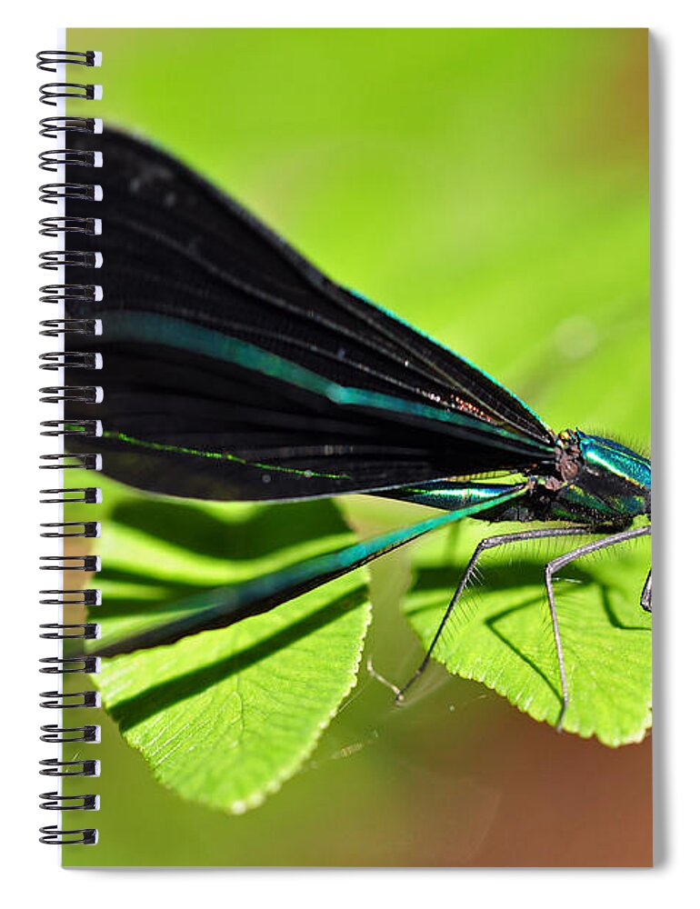Dragonfly Spiral Notebook featuring the photograph Dragonfly #1 by Glenn Gordon
