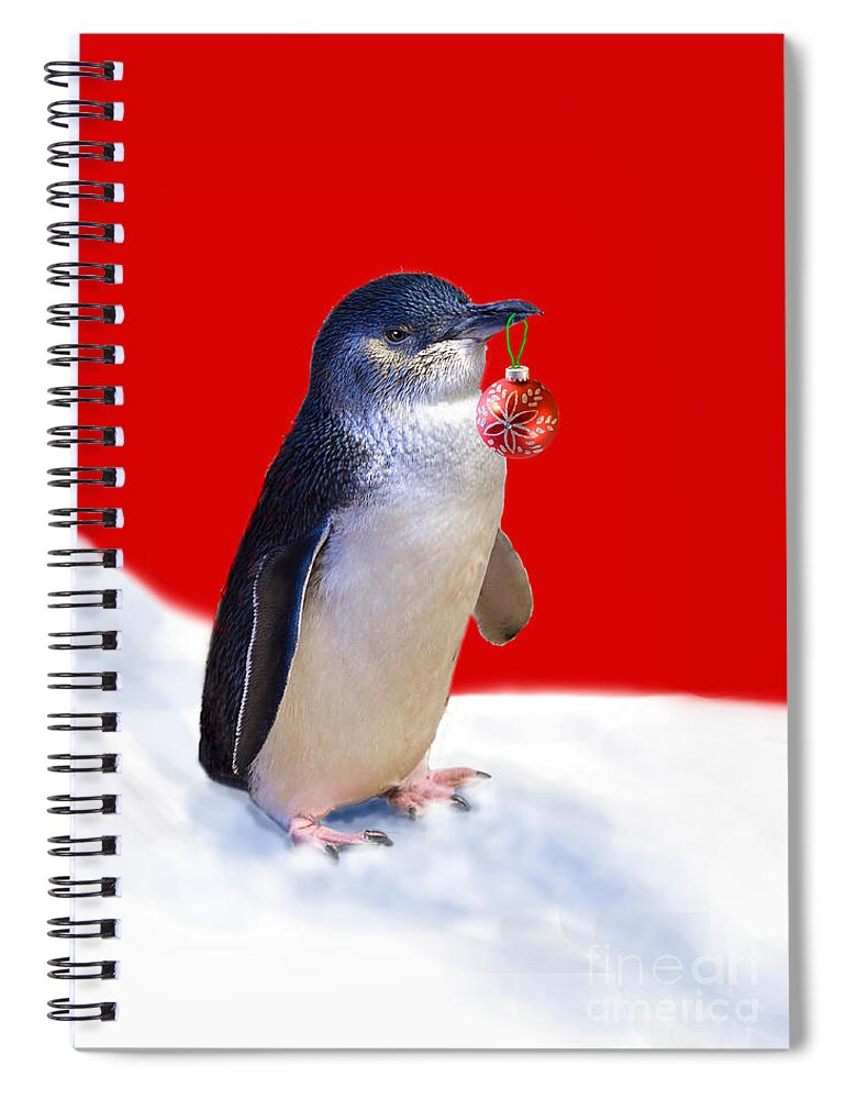 Little Penguin Spiral Notebook featuring the photograph Fairy Penguin for Christmas #2 by Louise Heusinkveld