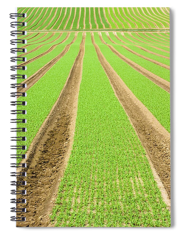 Agricultural Spiral Notebook featuring the photograph Farmland furrows in perspective by Simon Bratt