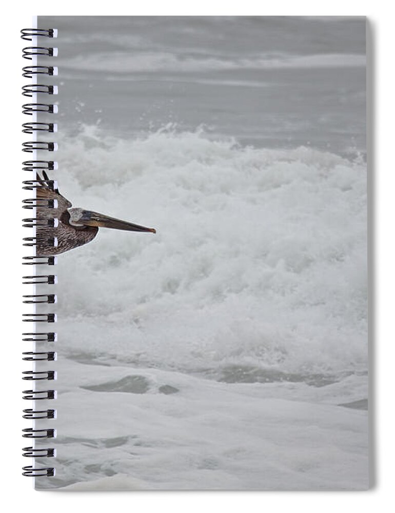 Pelican Spiral Notebook featuring the photograph flying Pelican #2 by Ralf Kaiser