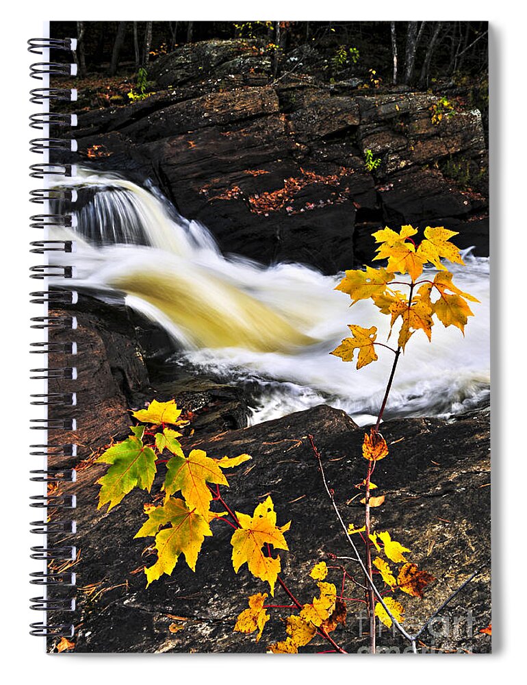 Autumn Spiral Notebook featuring the photograph River flowing through fall forest by Elena Elisseeva