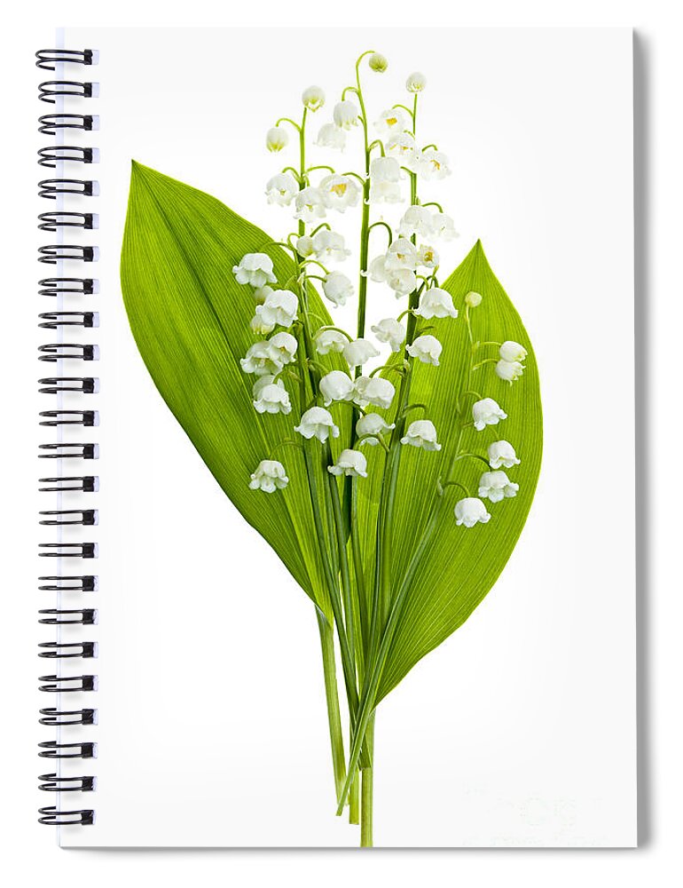 Flower Spiral Notebook featuring the photograph Lily-of-the-valley flowers #4 by Elena Elisseeva