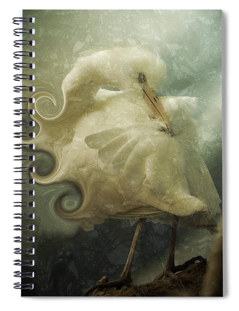 Bird Spiral Notebook featuring the photograph Lovely Lady #1 by Trish Tritz