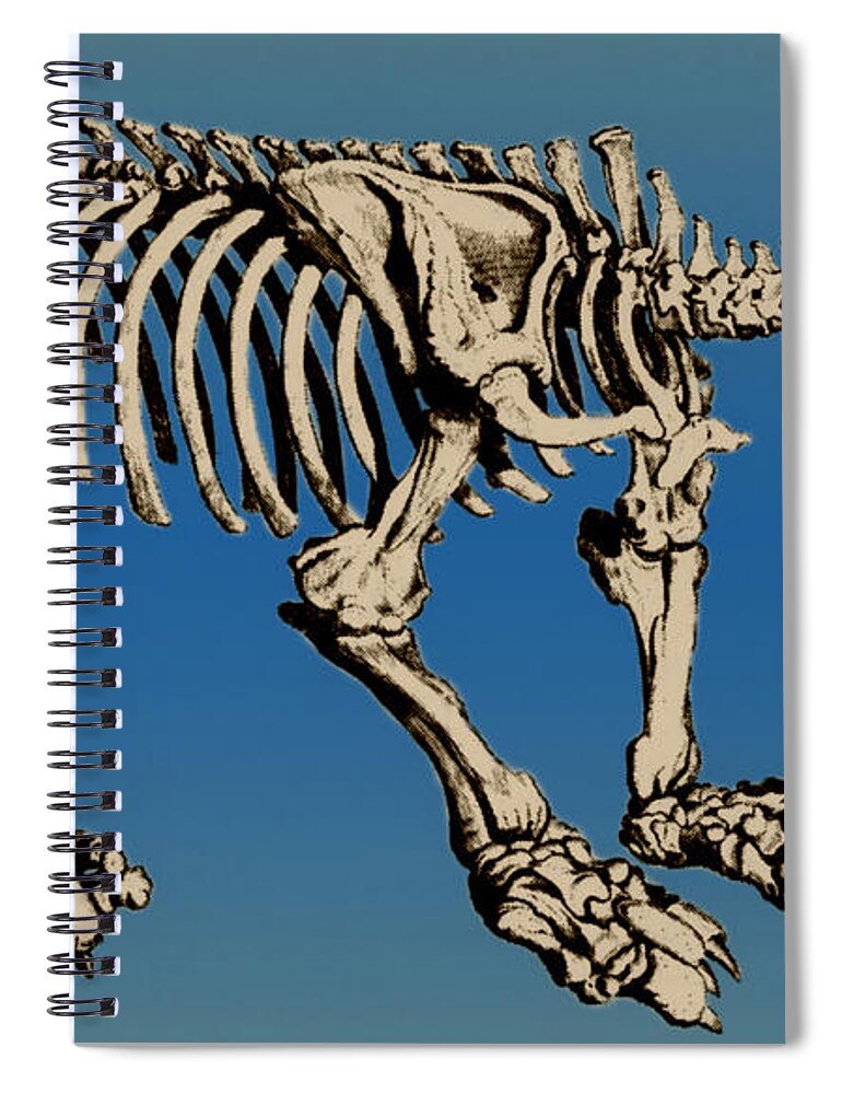 History Spiral Notebook featuring the photograph Megatherium Extinct Ground Sloth #4 by Science Source