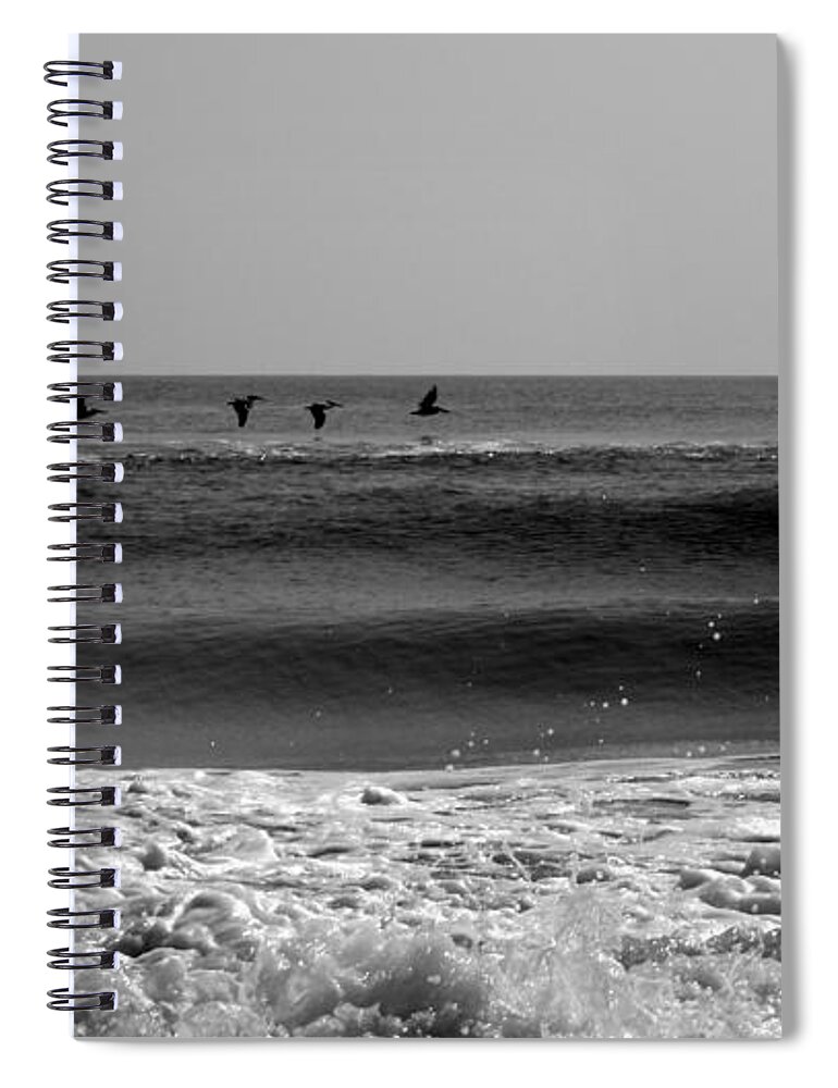 Pelicans Spiral Notebook featuring the photograph On The Hunt #1 by Kim Galluzzo