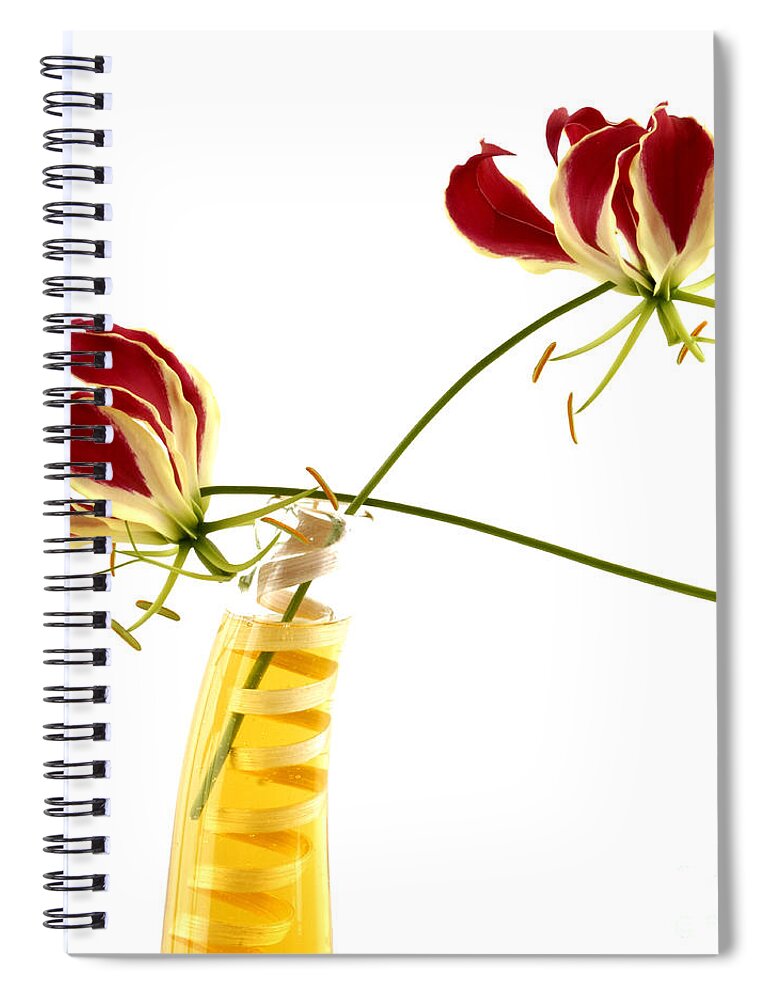 Bloom Spiral Notebook featuring the photograph Orchid #1 by Bernard Jaubert
