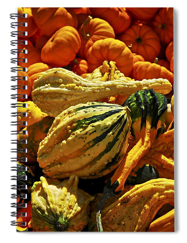 Pumpkin Spiral Notebook featuring the photograph Pumpkins and gourds 2 by Elena Elisseeva