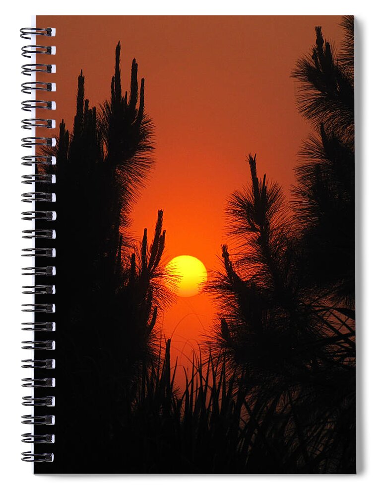 Nature Spiral Notebook featuring the photograph Rise and Pine #1 by Peggy Urban